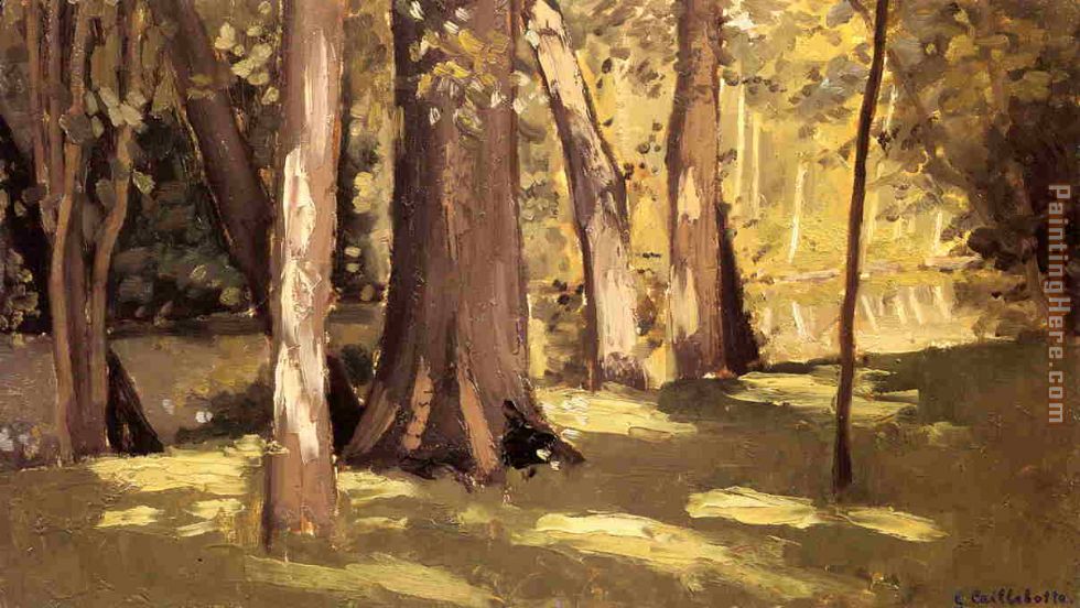 The Yerres Effect of Light